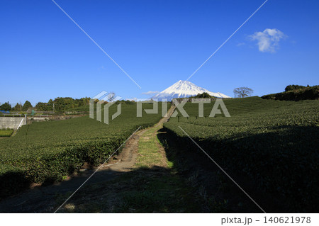 茶畑から望む富士山 140621978