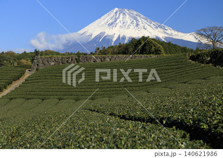 茶畑から望む富士山 茶畑から望む富士山 140621986
