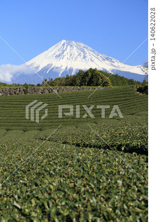 茶畑から望む富士山 茶畑から望む富士山 140622028