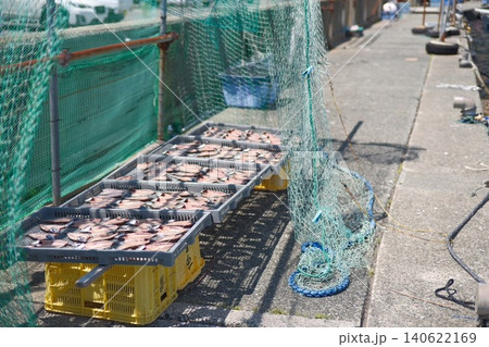 漁村で干される魚の干物と作業風景 140622169