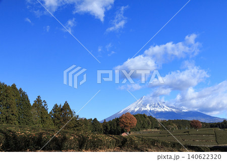 茶畑から望む富士山 茶畑から望む富士山 140622320