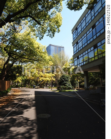 日比谷公園の風景 日比谷公園の風景 140622528