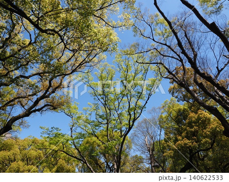 日比谷公園の風景 日比谷公園の風景 140622533