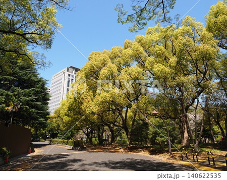 日比谷公園の風景 日比谷公園の風景 140622535