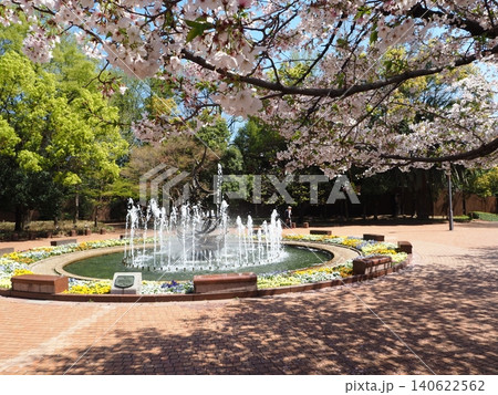 日比谷公園の風景 日比谷公園の風景 140622562