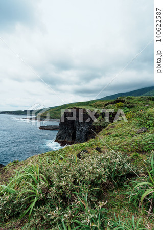 三宅島のサタドー岬 140622587
