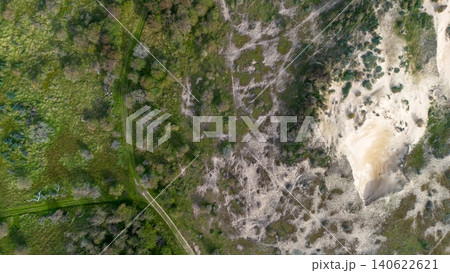 Aerial top-down view of coastal sand dunes, green mossy vegetation, sparse trees, and a dirt path forming a natural abstract texture landscape in the Netherlands. 140622621