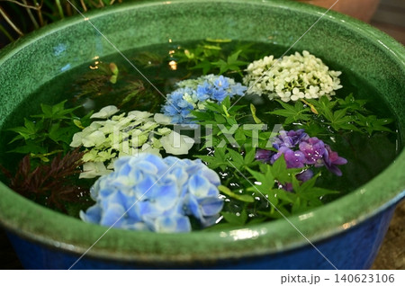 アジサイと青もみじの花手水(はなちょうず) アジサイと青もみじの花手水(はなちょうず) 140623106