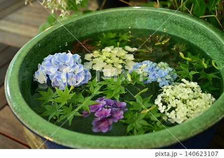 アジサイと青もみじの花手水(はなちょうず) アジサイと青もみじの花手水(はなちょうず) 140623107