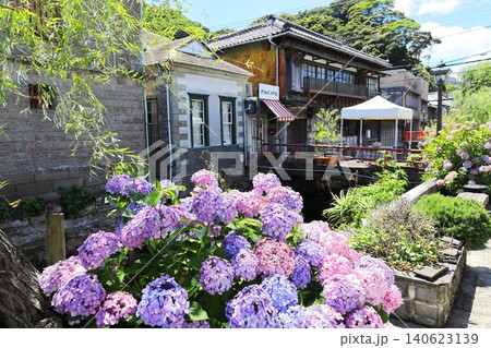 下田ペリーロードと紫陽花 下田ペリーロードと紫陽花 140623139