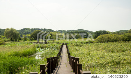 Ansan Reed Wetland Park Ansan Reed Wetland Park 140623290