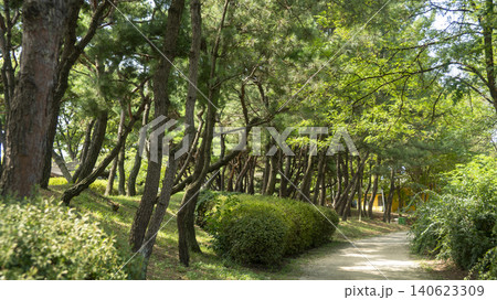 Ansan Reed Wetland Park Ansan Reed Wetland Park 140623309