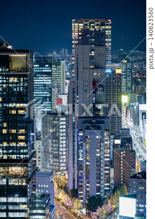 淀屋橋スカイテラスから見る絶景の夜景 淀屋橋スカイテラスから見る絶景の夜景 140623560