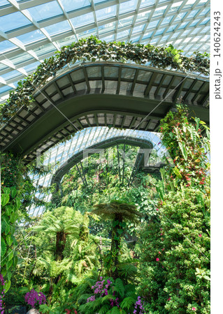 The Cloud Forest at Gardens by the Bay, Singapore, featuring a lush vertical rainforest inside a futuristic glass dome. Elevated walkways offer stunning views of exotic tropical plants. Vertical 140624243