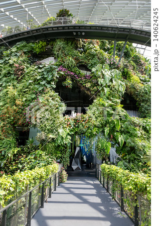 An entrance to the Cloud Forest at Gardens by the Bay, Singapore, showcasing a lush vertical garden covered in tropical plants and vibrant flowers under a glass dome An entrance to the Cloud Forest at Gardens by the Bay, Singapore, showcasing a lush vertical garden covered in tropical plants and vibrant flowers under a glass dome 140624245