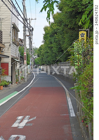 諏訪台通りの静かな路地　緑の石垣と民家が織りなす谷根千のノスタルジーな風景 140624782