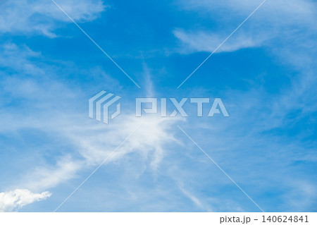 青空に浮かぶ鳥の形をした珍しい雲 青空に浮かぶ鳥の形をした珍しい雲 140624841
