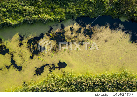banks of a swampy river, aerial view 140624877