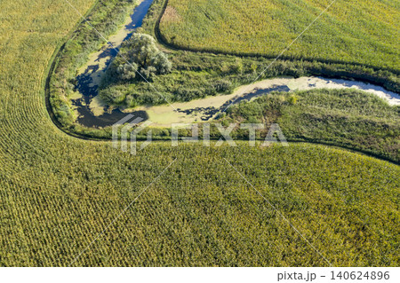 banks of a swampy river, aerial view 140624896