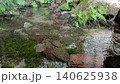 小川の苔の生えた岩 140625938