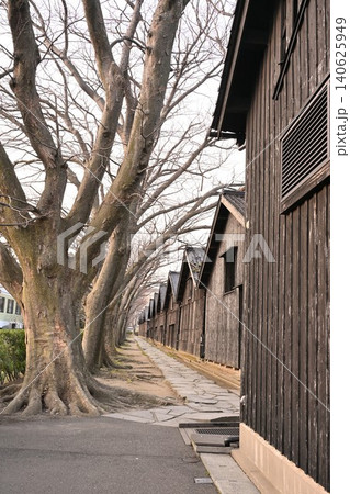 山居倉庫のケヤキ並木(山形県酒田市) 山居倉庫のケヤキ並木(山形県酒田市) 140625949
