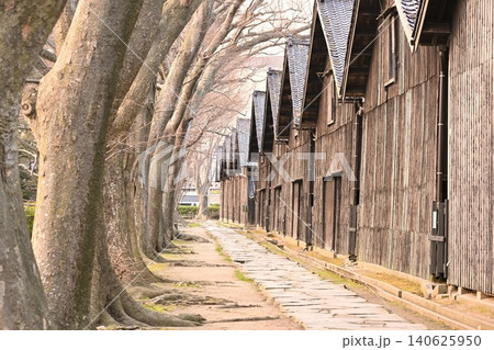 山居倉庫のケヤキ並木(山形県酒田市) 山居倉庫のケヤキ並木(山形県酒田市) 140625950