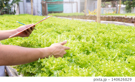 Farmer monitoring organic hydroponic red oak in plant nursery farm. Smart agriculture technology. Smart agriculture technology concept. 140626829
