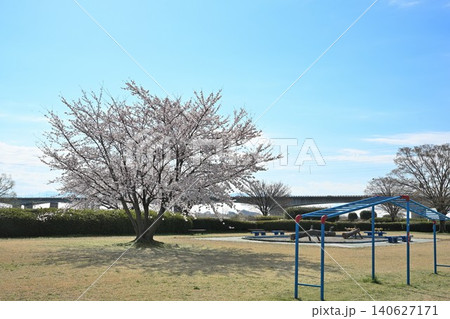 阿賀野川河川公園の桜と阿賀野川(新潟県新潟市東区) 阿賀野川河川公園の桜と阿賀野川(新潟県新潟市東区) 140627171