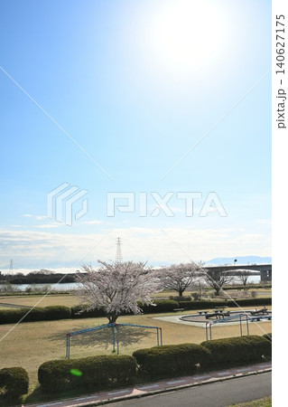 阿賀野川河川公園の桜と阿賀野川(新潟県新潟市東区) 阿賀野川河川公園の桜と阿賀野川(新潟県新潟市東区) 140627175