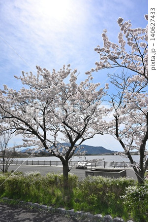 春の佐潟と桜の風景(新潟県新潟市西区) 春の佐潟と桜の風景(新潟県新潟市西区) 140627433