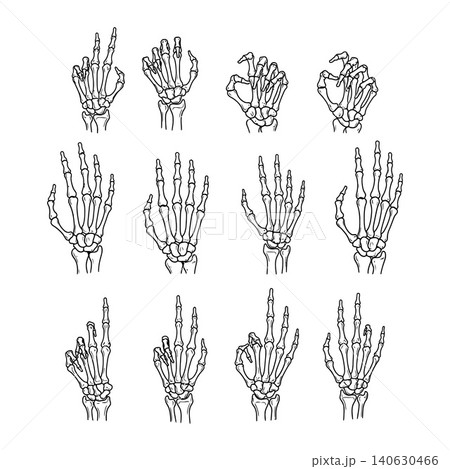 Twelve unique skeleton hand gesture illustrations in black line art Twelve unique skeleton hand gesture illustrations in black line art 140630466