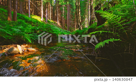 Crystal clear forest stream flowing through lush green woodland. Peaceful natural landscape with moss covered rocks, fresh water and tranquil wilderness atmosphere. Crystal clear forest stream flowing through lush green woodland. Peaceful natural landscape with moss covered rocks, fresh water and tranquil wilderness atmosphere. 140630847