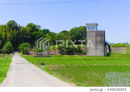 千葉県柏市利根川周辺2026年5月 千葉県柏市利根川周辺2026年5月 140630893