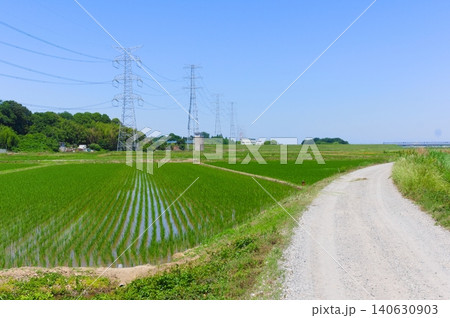 千葉県柏市利根川周辺2026年5月 140630903