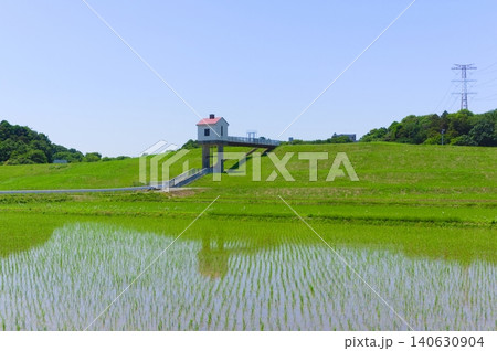 千葉県柏市利根川周辺2026年5月 140630904