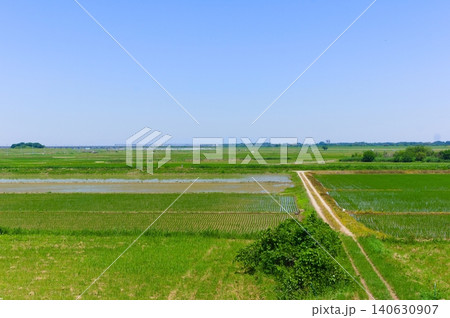 千葉県柏市利根川周辺2026年5月 千葉県柏市利根川周辺2026年5月 140630907
