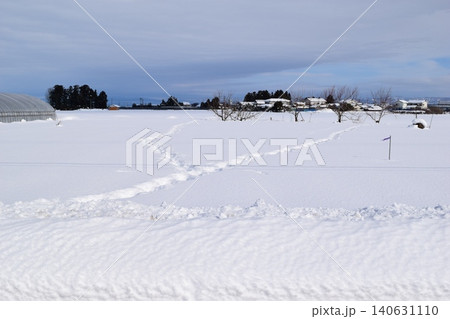 東北地方の雪景色 山形県庄内 東北地方の雪景色 山形県庄内 140631110