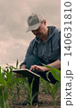 agriculture, farmer working corn field digital tablet, Modern farming with digital devices, Technology-driven cornfield, Fieldwork streamlined by tablets, Precision crop monitoring, Smart business in 140631810