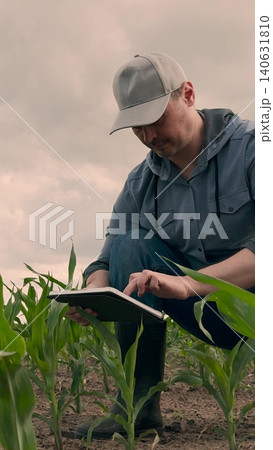 agriculture, farmer working corn field digital tablet, Modern farming with digital devices, Technology-driven cornfield, Fieldwork streamlined by tablets, Precision crop monitoring, Smart business in agriculture, farmer working corn field digital tablet, Modern farming with digital devices, Technology-driven cornfield, Fieldwork streamlined by tablets, Precision crop monitoring, Smart business in 140631810