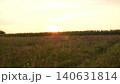 Sunset over a wildflower field, Beautiful countryside scenery, Peaceful sunflower meadow at dusk, Golden hour in nature, Serene landscape with sunflowers, Summer evening in the fields, Tranquil rural 140631814