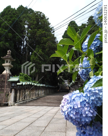 青いアジサイと厳かな石灯籠の列がどこまでも続く宝山寺の美しい参道 青いアジサイと厳かな石灯籠の列がどこまでも続く宝山寺の美しい参道 140632291