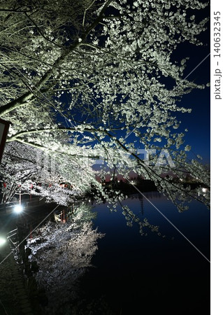 弁天潟風致公園の夜桜ライトアップ(新潟県聖籠町) 弁天潟風致公園の夜桜ライトアップ(新潟県聖籠町) 140632345