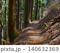 春の川乗山 登山道 杉林の木漏れ日と山道 140632369