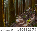 春の川乗山 登山道 杉林の木漏れ日と山道 140632373