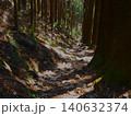 春の川乗山 登山道 杉林の木漏れ日と山道 140632374
