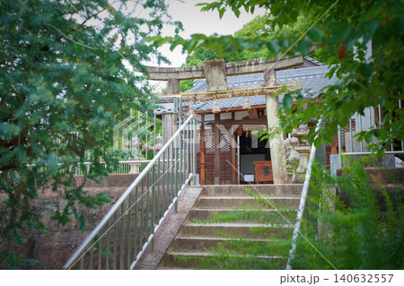緑に覆われた神社の参道 140632557