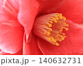 ささやき 140632731