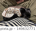 寝ている犬2 140632771