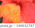 春を待ちわびて 140632787