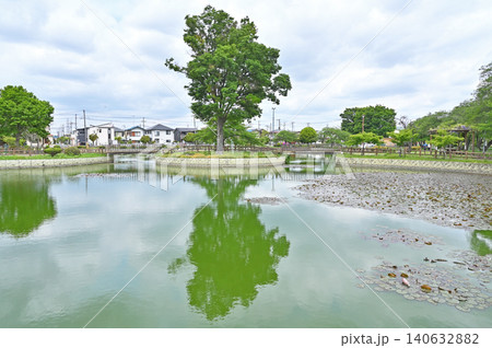 岩槻散歩:和土住宅公園 和土ひょうたん池 岩槻散歩:和土住宅公園 和土ひょうたん池 140632882